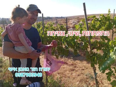 תמונת פרופיל - יהודה אימון והכוונה